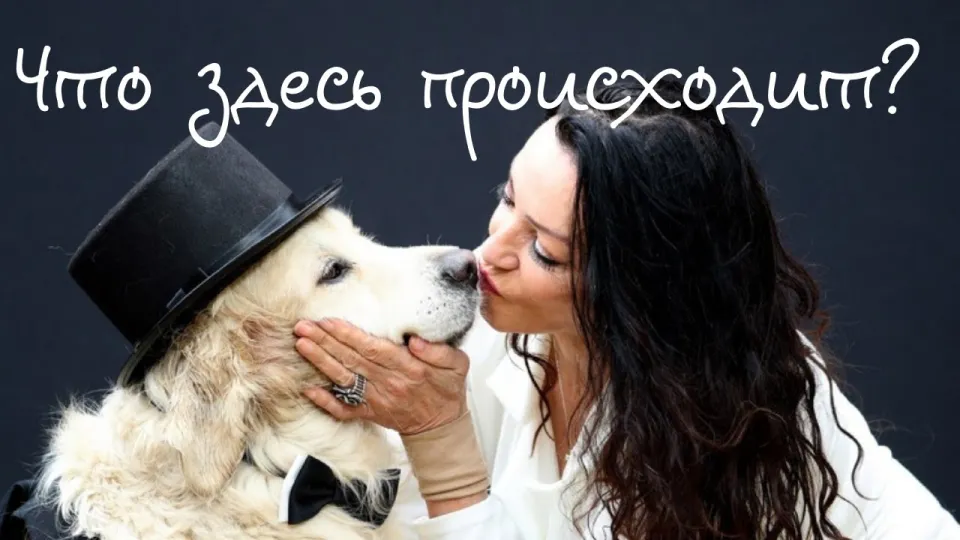 Интересные факты особенности жизни в разных странах мира раскрывают уникальные традиции и обычаи